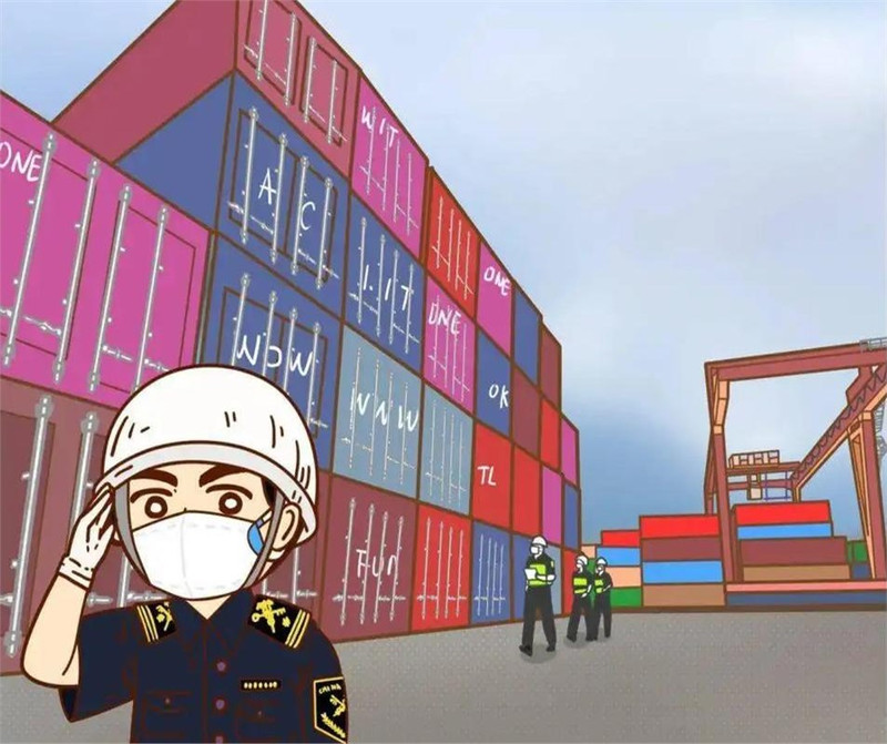 海关案例解析 进出口危险化学品与危险货物包装检验监管全攻略