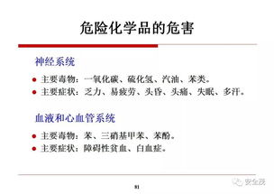 湖州化学品爆炸敲警钟 安全生产与进出口监管亟待强化